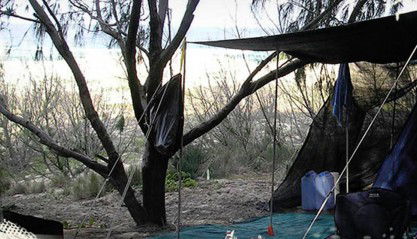 Main Beach Foreshore Camping Grounds - Accommodation China 0