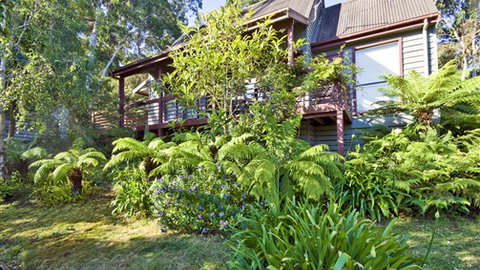 Great Ocean Road Cottages & Backpackers - Accommodation China 5