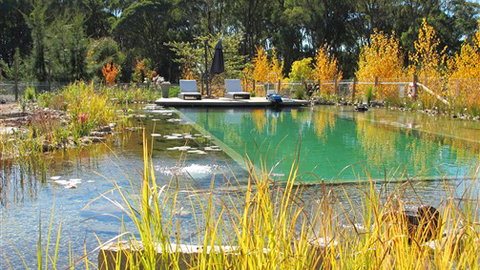 Planetrees Estate  - Accommodation China 5