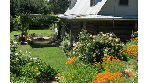 Planetrees Estate  - Accommodation China 6