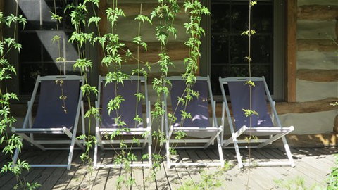 Planetrees Estate  - Accommodation China 7