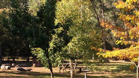 Schusters Lodge - Accommodation Guide 6