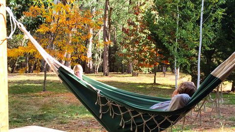 Schusters Lodge - Accommodation Guide 5