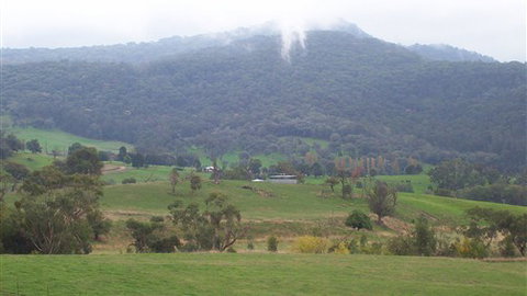 Murphy's Cabin - Accommodation Asia 1