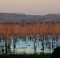 Salisbury - Accommodation Guide