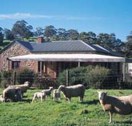 Amanda Stichbury Cottage - Accommodation Guide
