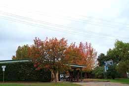 Allambie Motel Pty Ltd - Accommodation China 0