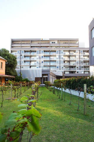 B7 Honeysuckle Apartments - Accommodation Guide 1