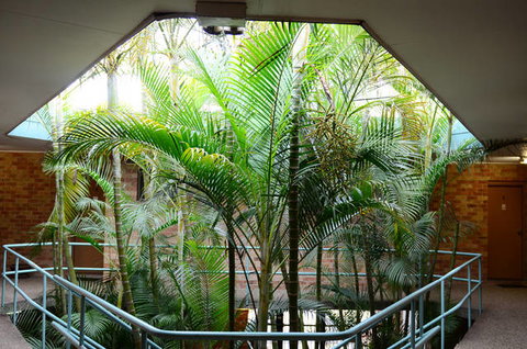 Motel 10 - Accommodation Asia 4