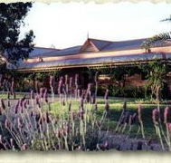 Bluebush Estate - Accommodation China