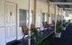 Chinchilla Motel - thumb 3