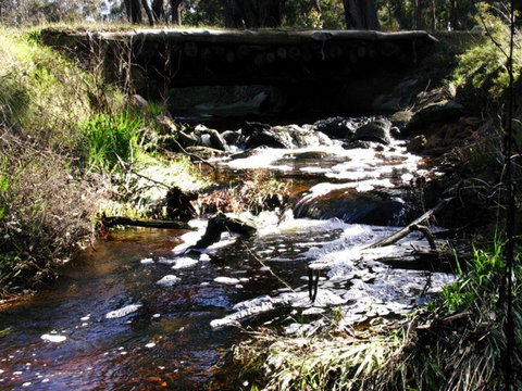 Hidden Grove Retreat - Accommodation Guide 4