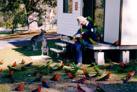 Inland Waters Holiday Parks Burrinjuck - Accommodation Asia 0