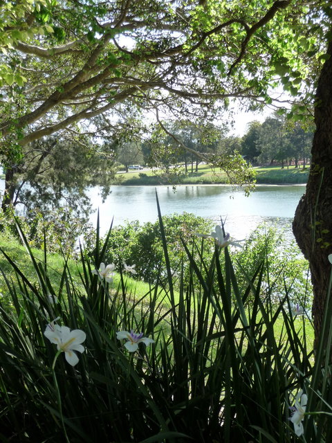 Netherby House - Accommodation Asia 6