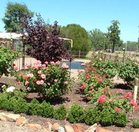 Newell Motor Inn - Accommodation Guide