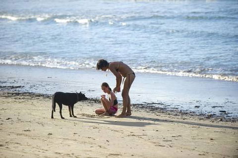 North Coast Holiday Parks Scotts Head - Accommodation China 2
