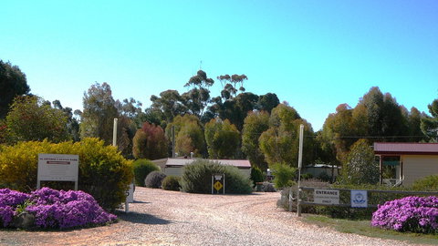 Gladstone Caravan Park - Accommodation China 6