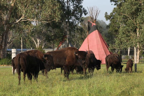 Aranyani Bison Adventure Tourist Park - Accommodation China 6