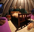 Aranyani Bison Adventure Tourist Park - Accommodation China