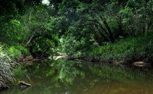 Aranyani Bison Adventure Tourist Park - Accommodation China 3