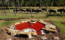 Aranyani Bison Adventure Tourist Park - Accommodation China 5