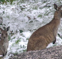 Barokee campground - Accommodation Asia