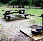 Bellbird campground - Accommodation Guide