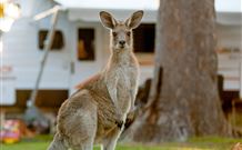 BIG4 Sunshine South West Rocks Holiday Park - South - Accommodation China 3