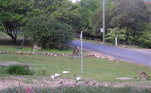 Burrinjuck Waters Holiday Park Accommodation - Accommodation China 2