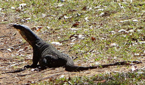 Cutters Camp Campground - Accommodation Asia 1