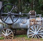 Dingo Tops campground - Accommodation Asia