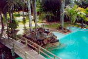 Tropical Gardens Motor Inn - Accommodation China 4