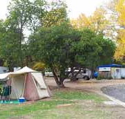 Wedderburn Pioneer Caravan Park - Accommodation Guide