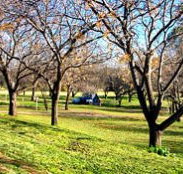 Wellington Caves Caravan Park - Accommodation China