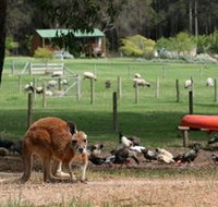 Diamond Forest Cottages and Farm Stay - Accommodation Guide