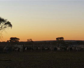 Goodwood Stationstay - Accommodation China 1