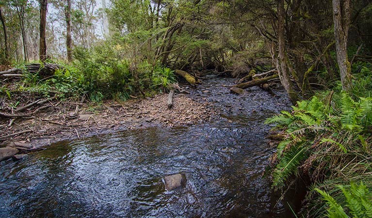 Moonan Brook NSW Accommodation China