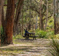 Koreelah Creek campground - Accommodation Guide