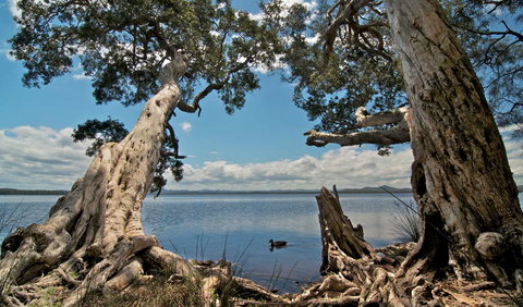 Mungo Brush Campground - Accommodation Asia 1