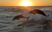 Sapphire Sun Eco Holiday Village - Eden - Accommodation China 3