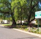 Spicer Park Caravan Park - Accommodation China