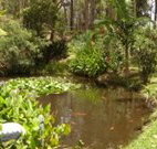 Tallowood Ridge B and B - Accommodation Asia