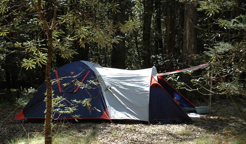 Thungutti Campground - Accommodation Asia 0