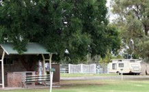 Warialda NSW Accommodation Asia