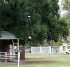Warialda Caravan Park - Accommodation Asia
