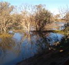 Warrawong on the Darling - Accommodation Guide