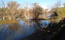 Warrawong On The Darling - Accommodation China 0