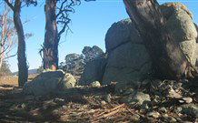Countegany NSW Accommodation Asia