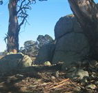 Warreen Farmstay Rural Accommodation - Accommodation Asia