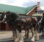 Araluen Valley Hotel - Araluen - Accommodation Asia
